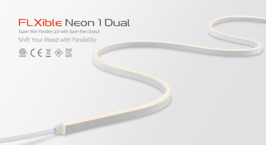 neon_1_Dual